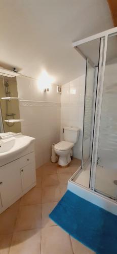 une salle de bain avec toilettes et douche en verre dans l'établissement La petite maison du Bosc, à Saint-Antonin