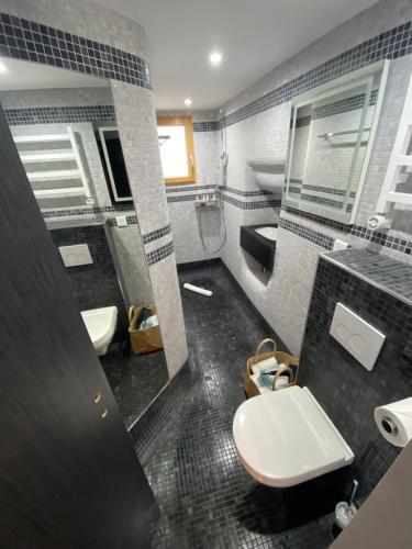 La salle de bains est pourvue de toilettes, d'un lavabo et d'un miroir. dans l'établissement Résidence Mademoiselle Joséphine, à Ajaccio