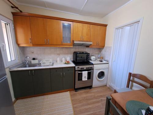 kuchnia ze zlewem i kuchenką górny piekarnik w obiekcie Mary's Art House in the center of Old town w Korfu