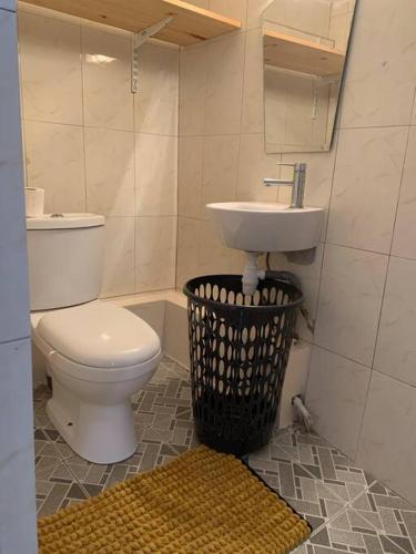 łazienka z toaletą i umywalką w obiekcie studio cocoon perche 119 Mdz w mieście Mamoudzou