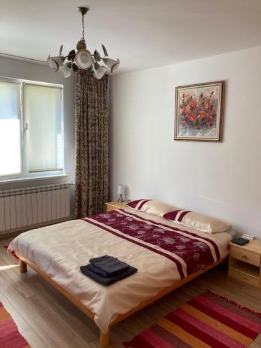 a bedroom with a bed with a ceiling fan at Villa Rosa in Krayni Dol