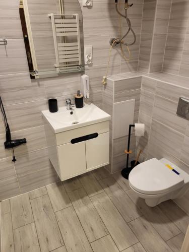 uma casa de banho com um lavatório, um WC e um espelho. em Apartamenty Rynek K em Przemyśl