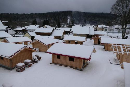 une petite ville recouverte de neige avec des bâtiments dans l'établissement Chalet Hüttendorf 49 gradnord, à Bayerisch Eisenstein