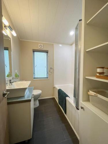 a bathroom with a sink and a toilet and a shower at Blackfoot Lodge in Felton
