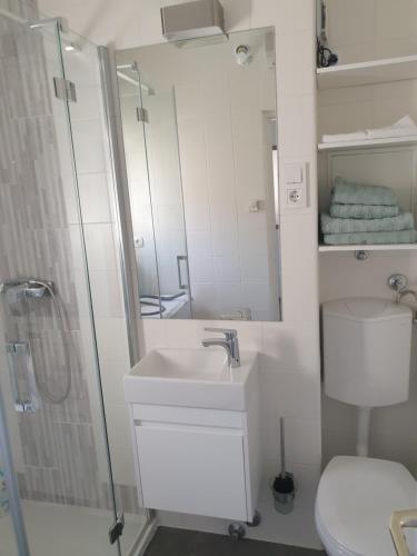 een badkamer met een wastafel, een douche en een toilet bij Apartman Liliana in Rijeka