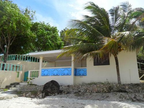 a house with a palm tree in front of it at Karlsson's Guesthouse in Larena