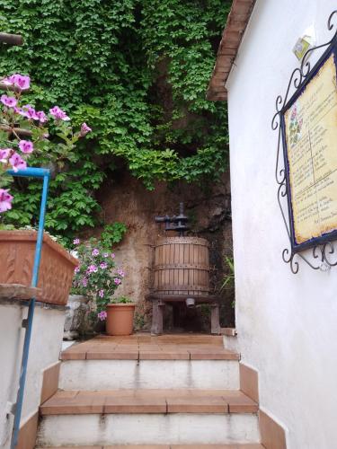 Fotografie z fotogalerie ubytování Al Geranio B&B v destinaci Furore