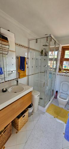 een badkamer met een douche, een wastafel en een toilet bij Villa La Paz 2 in Puerto de la Cruz