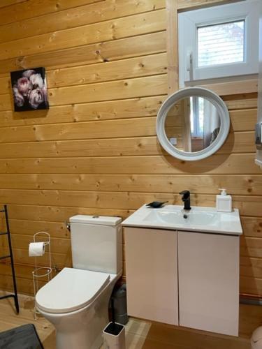 a bathroom with a white toilet and a mirror at Ô Village in Giromagny
