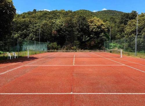 a tennis court with a net on top of it at Gîte Pommier au Château des Pauses in Saint-André-de-Majencoules