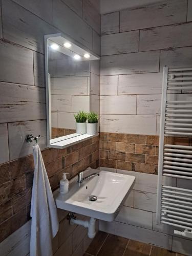a bathroom with a sink and a mirror at Penzion U Cyrila in Moravská Třebová