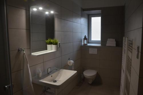 a bathroom with a sink and a toilet and a mirror at Penzion U Cyrila in Moravská Třebová
