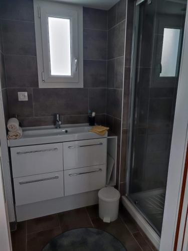 y baño con lavabo y ducha. en Belle chambre indépendante, en Sargé Les Le Mans 