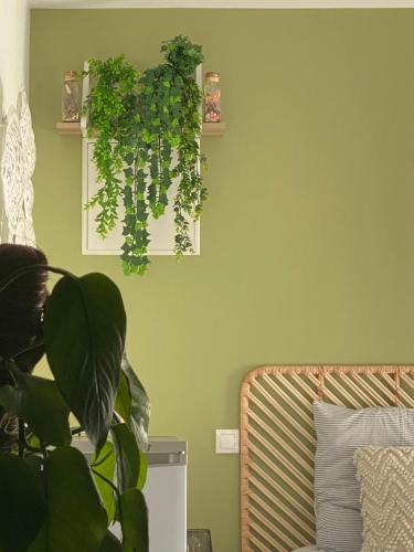 uma parede verde com uma planta ao lado de uma cama em Belle chambre indépendante em Sargé Les Le Mans 