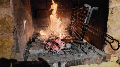 a fire is coming out of a brick oven at Refugio madera estilo árabe con estatuas, estanques y un pequeño zoo in Albacete