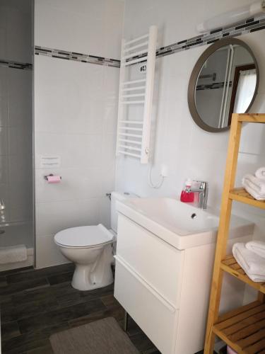 une salle de bain avec toilettes, lavabo et miroir dans l'établissement La Rose des Vents, à Saint-Germain-sur-Morin