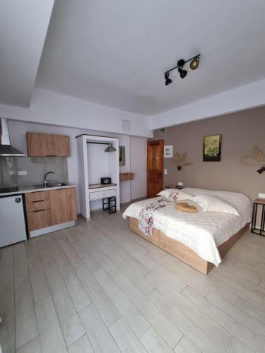 a large bedroom with a bed and a kitchen at Bellos House in Parga