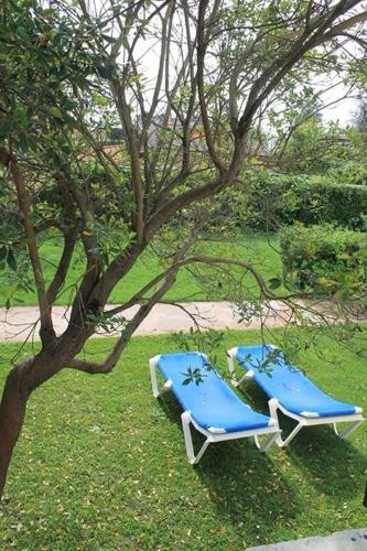Un jardín fuera de Il Miraggio