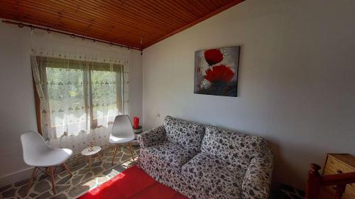 Gambar di galeri bagi Isidoros house di Néa Sílata