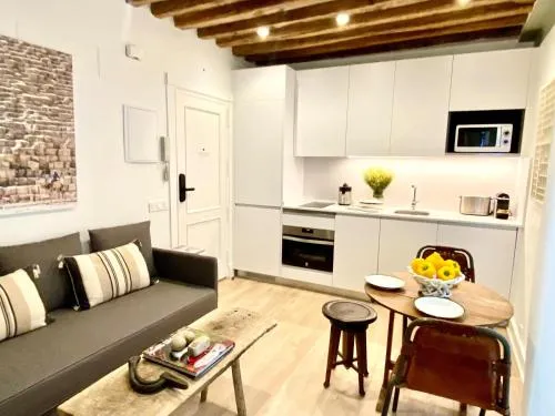 Apartamentos Principe 7 photo 10