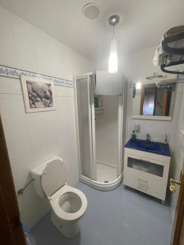 La salle de bains est pourvue de toilettes, d'une douche et d'un lavabo. dans l'établissement Apartamento acogedor próximo a playas y aeropuerto, à La Corogne