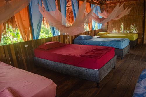 a group of four beds in a room at Ipqua Hostel in Palomino