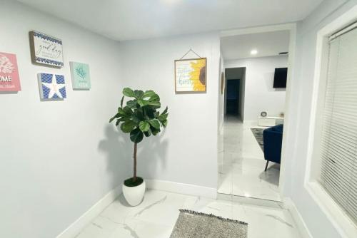 un salon avec une plante en pot et un couloir dans l'établissement Peaceful Beachy Oasis 10 Mins from Beaches, à North Miami Beach