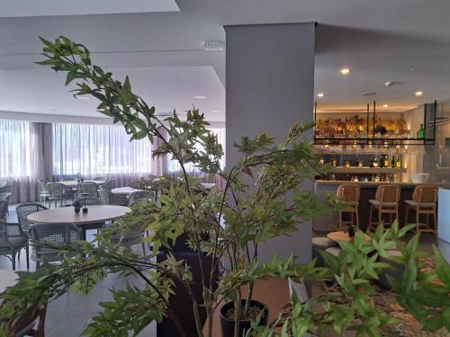 a restaurant with tables and chairs and plants at Villa Rey Spa & Hotel in Vila de Rei