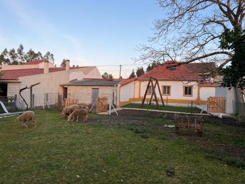 a group of sheep grazing in a yard with a playground at Quinta da nogueira in Albergaria dos Doze