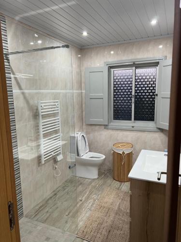 a bathroom with a toilet and a shower and a sink at Quinta da nogueira 