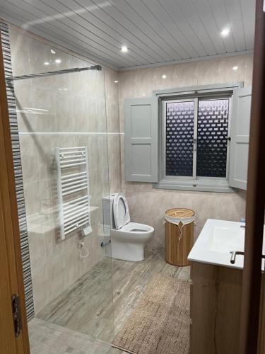a bathroom with a toilet and a shower and a sink at Quinta da nogueira in Albergaria dos Doze