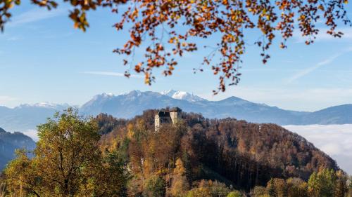 a castle on top of a hill with mountains at Dream Apartments in Hohenems