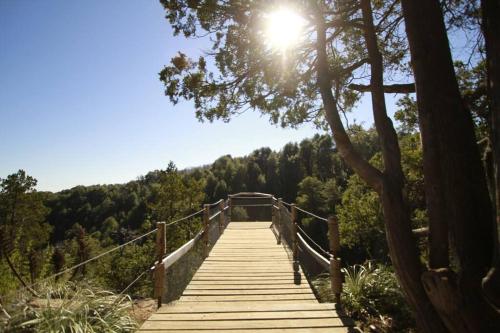 a wooden boardwalk in a forest with the sun shining at CABAÑA LIRCAY - 2 habitaciones 48M2 para 4 personas in San Clemente