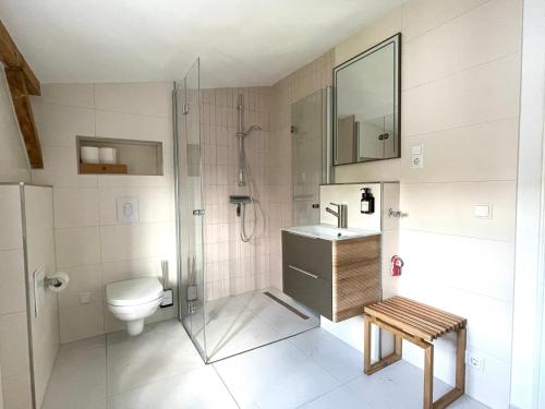 a bathroom with a toilet and a shower and a sink at HORAMI Villa - OKYU Apartment in Malchow