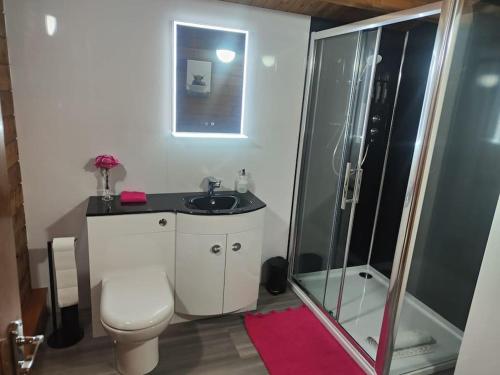 La salle de bains est pourvue de toilettes et d'une douche en verre. dans l'établissement Hillhaven Lodge, à Inverness