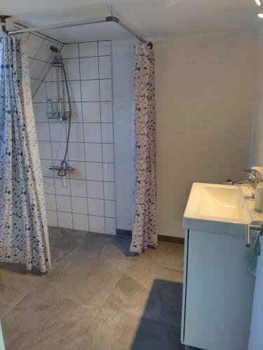 La salle de bains est pourvue d'un lavabo et d'une douche. dans l'établissement Ferielejlighed Skovby ved Bogense, à Bogense