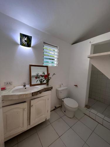a white bathroom with a toilet and a sink at El Patio Cultural in Las Terrenas
