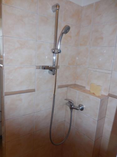 a shower with a shower head in a bathroom at Apartmán u zámku in Smečno