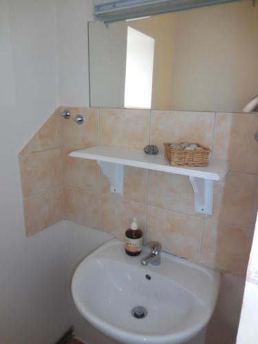 a bathroom with a white sink and a shelf at Apartmán u zámku in Smečno