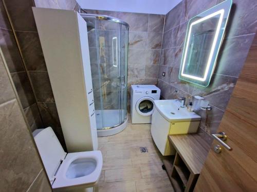 La salle de bains est pourvue de toilettes, d'un lavabo et d'une douche. dans l'établissement Blue95, à Mamaia Nord – Năvodari