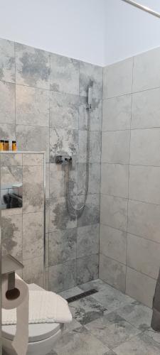 uma casa de banho com uma cabina de duche e um WC. em YAMADA em Năvodari