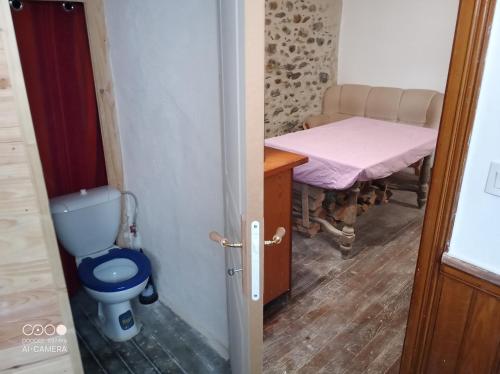a bathroom with a toilet and a table and a bed at Chambre à petit budget pour personne simple in Saint-Laurent-de-Neste
