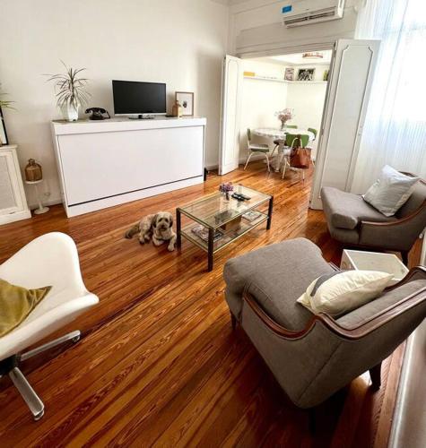 una sala de estar con un perro en el suelo en Amplio y luminoso piso en Recoleta 3 pax (60mts2) en Buenos Aires