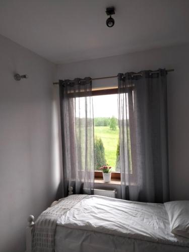 a bedroom with a bed and a window at Przy Trójstyku in Dubeninki