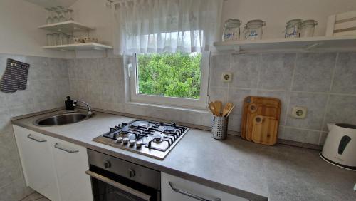 Η κουζίνα ή μικρή κουζίνα στο Beach Apartment Mali Iž