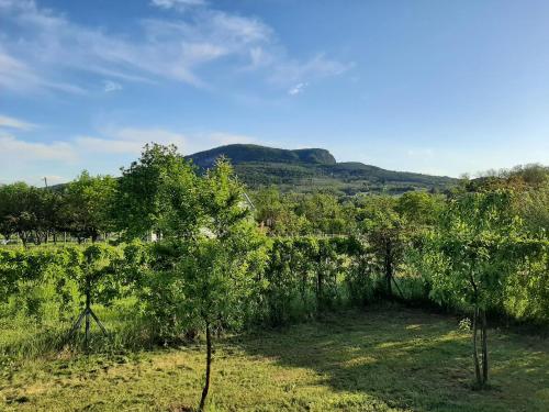 HangVilla Badacsony 8258 Badacsonytomaj, Ibolya utca 15. kép - 3