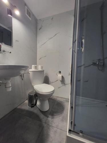 W łazience znajduje się toaleta, umywalka i prysznic. w obiekcie Marina Niedźwiedzi Róg w mieście Ruciane-Nida