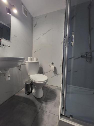 a bathroom with a toilet and a sink and a shower at Marina Niedźwiedzi Róg in Ruciane-Nida