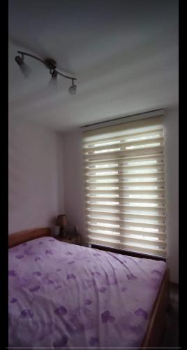 a bedroom with a purple bed and a window with blinds at Apartman NIKOLIJA 1 in Bajina Bašta