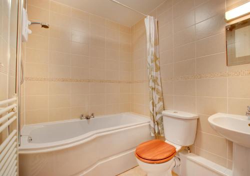 a bathroom with a toilet and a tub and a sink at Crud y Wennol in Llandderfel